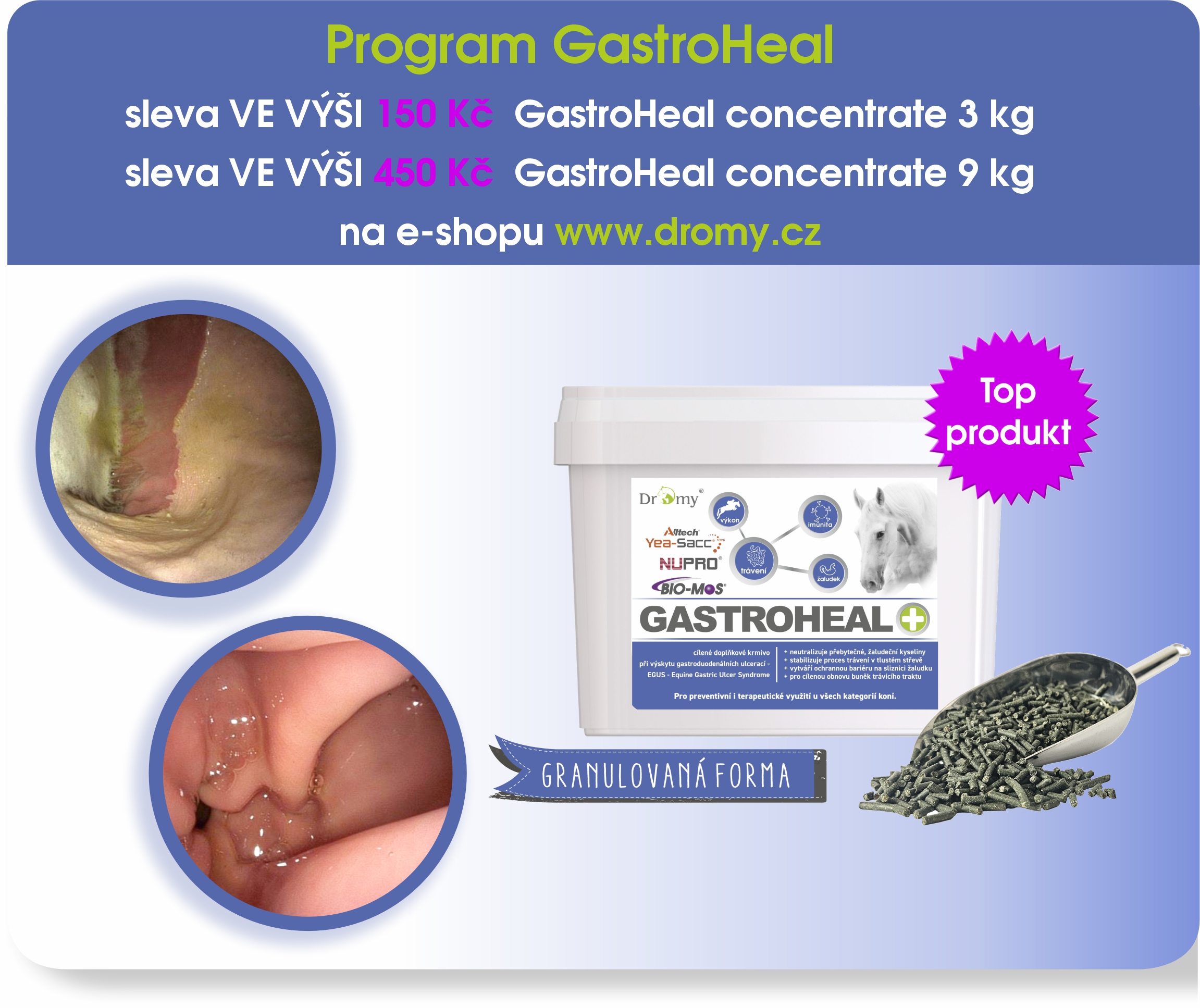 PROGRAM gastroheal concentrate1
